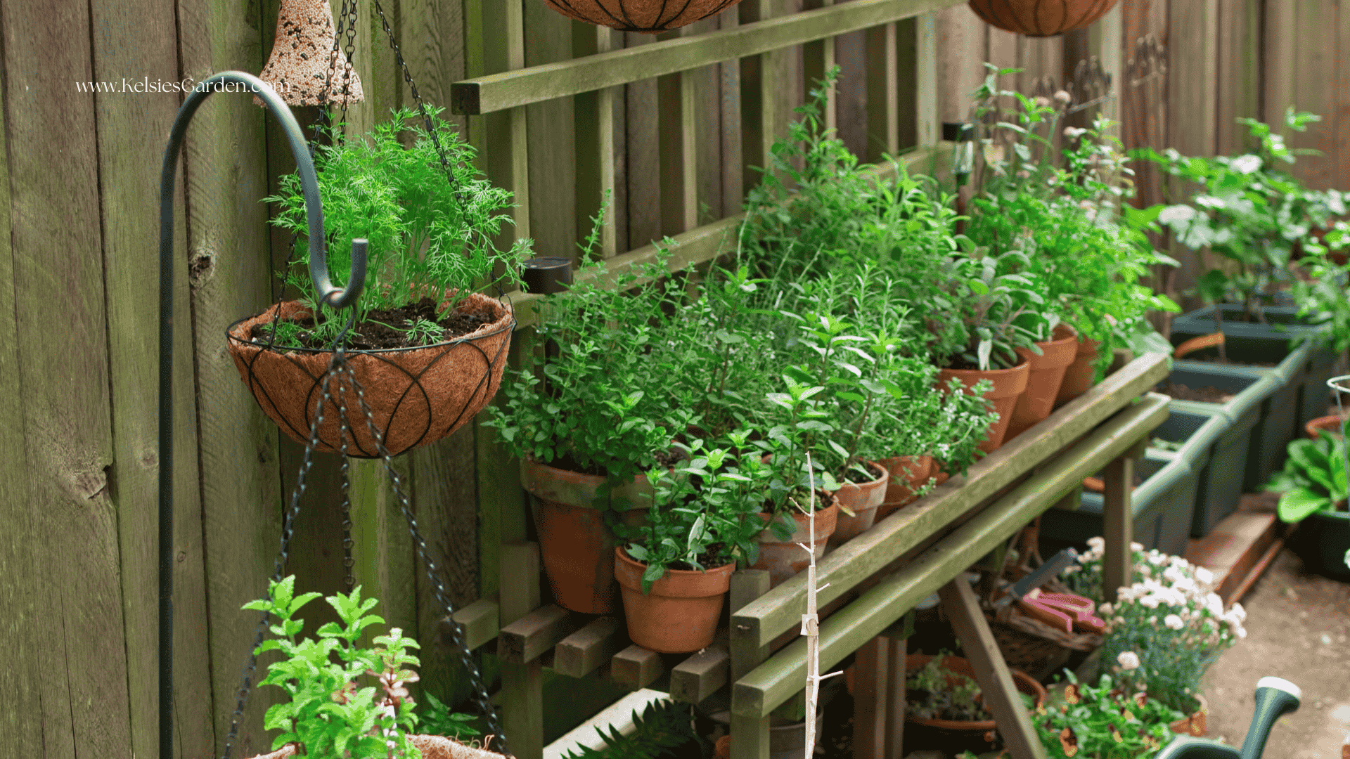 15 Fruits and Vegetables You Can Grow in Containers