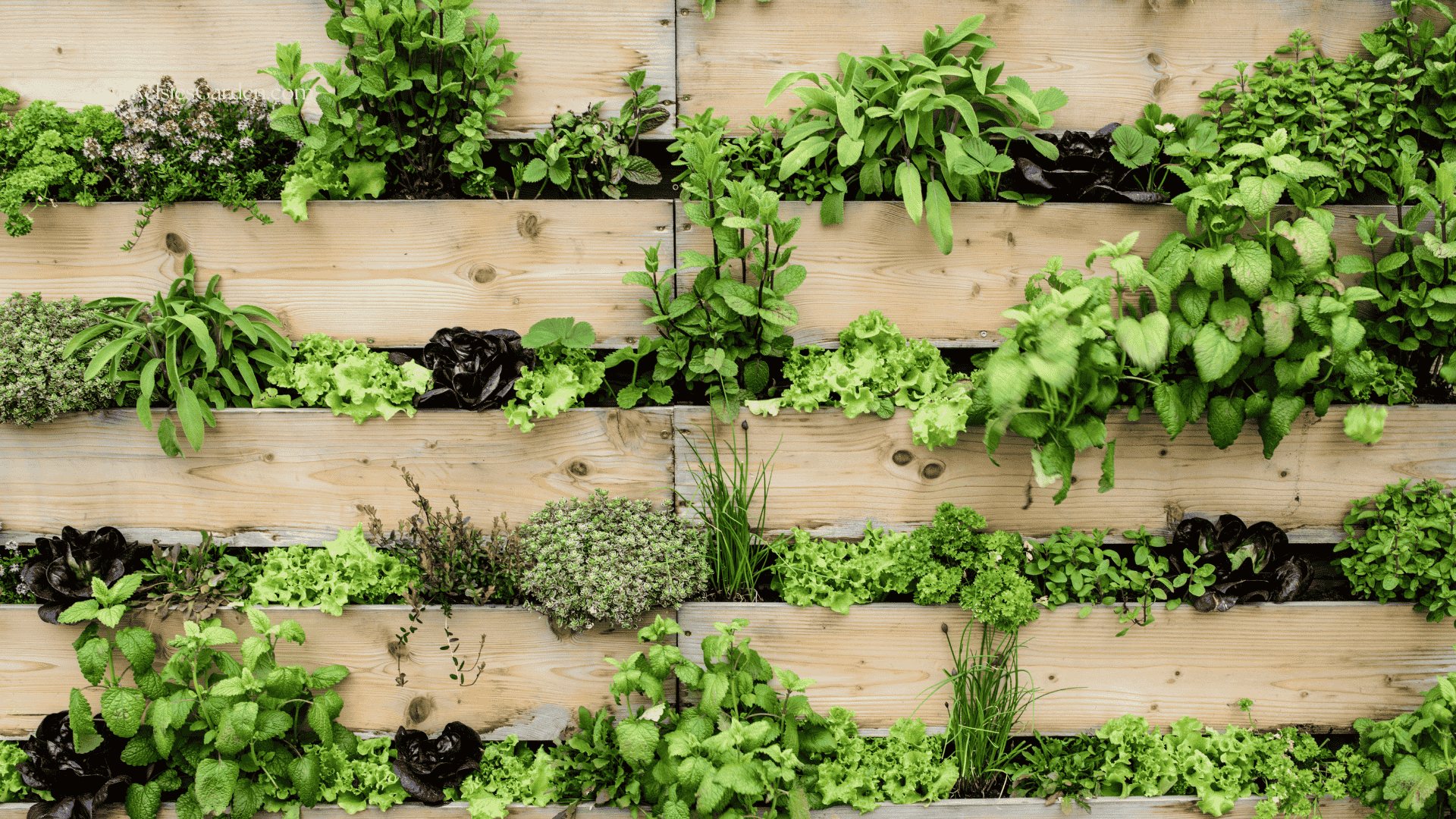 Maximize Your Space: Top 10 Vertical Container Gardening Ideas for Small Areas